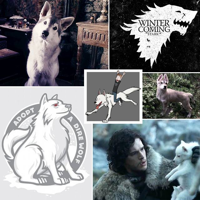 Game of Thrones Direwolf Collage